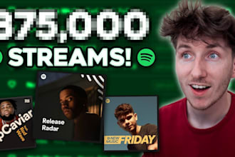 boost your spotify music plays and streams with playlist promotion