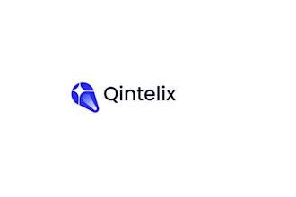 design a unique IT logo in a professional style