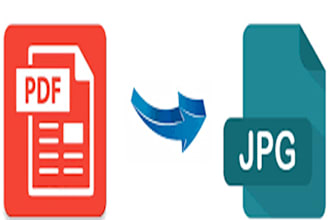 convert pdf to excel pdf to word or data entry