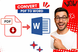 convert pdf to word file and data entry