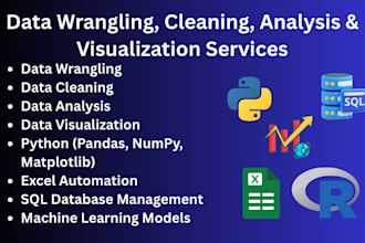 offer data wrangling, cleaning, analysis, visualization in python, excel