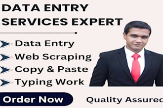 do data entry, web research and excel solutions