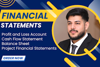 prepare financial statements, balance sheet, and profit loss