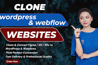 design redesign duplicate copy clone website using elementor pro