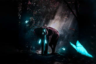 do professional photo manipulation and creative ad design