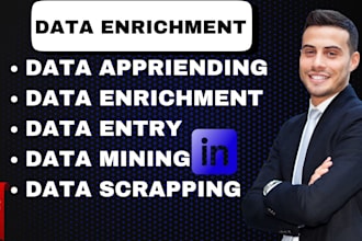 do data enrichment, linkedin research, data append