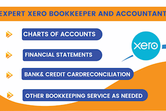 do professional bookkeeping online, on quickbooks, xero