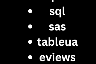 do tasks related to spss, sas, stata, tableau, eviews, r, python, nvivo, excel