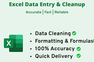 do excel data entry, formatting, and spreadsheet cleanup