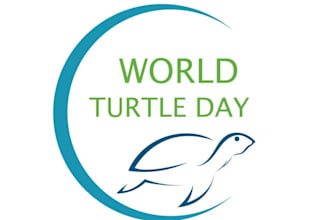 do design creative modern beautiful turtle logo