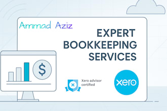 be your expert xero bookkeeper for setup and ongoing services