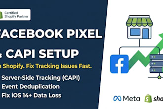 set up facebook pixel and capi on shopify