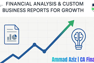 provide financial analysis, custom reports, and business insights