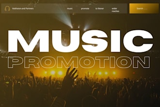 do spotify music promotion through fb, ig, and tiktok ads campaign