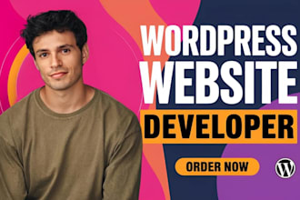 build wordpress website development redesign wordpress using elementor pro astra