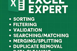 ms excel data cleaning, formatting,merging,splitting,sorting,data entry, etc