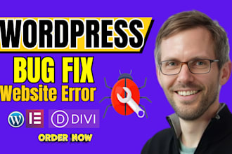 do wordpress bug fix wordpress issues, wordpress website bugs and errors