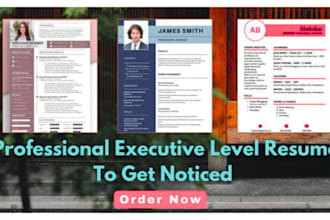create an executive resume, professional resume, and custom cover letter