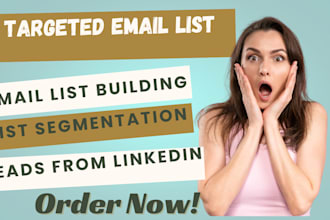 setup email list building linkedin leads niche targeted email contact list