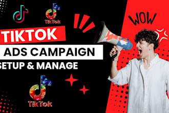 run tik tok ads, tiktok ads campaign, tiktok advertising