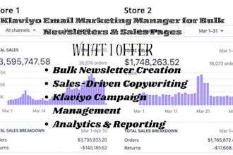 klaviyo email marketing manager bulk newsletter sales page