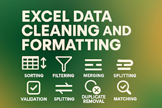 clean, format, merge, split, and organize excel data professionally