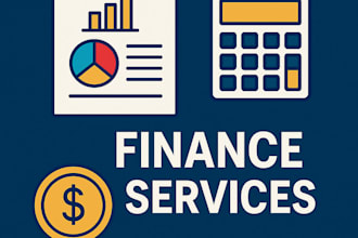 create mis reports financial models budgets and forecasts for you