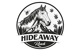 design awesome and unique horse logo