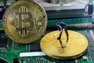 setup daily withdrawal bitcoin bot, btc app on your device
