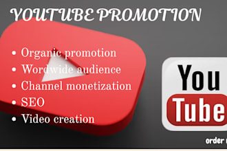 organically promote youtube video for channel monetization