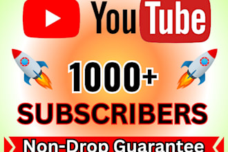 do add 1000 youtube followers, views watch time for monetization