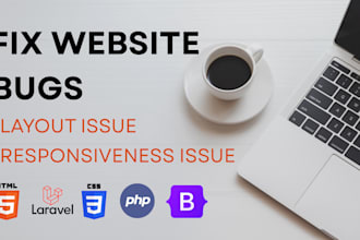fix website bugs and customize your site professionally
