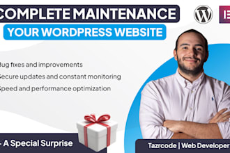 fully maintain your wordpress site