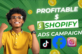 set up shopify facebook ads, instagram, tiktok campaign pixels, conversion API