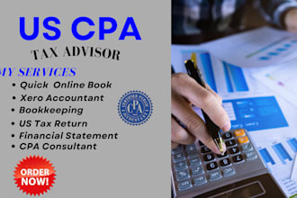 do expert tax consulting  business tax strategy and personal finance planning