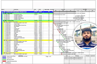 do project schedule, wbs, gantt chart, s curve in primavera p6 and ms project