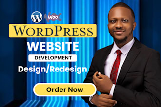 rebuild, redesign, copy clone wordpress development business elemenent pro