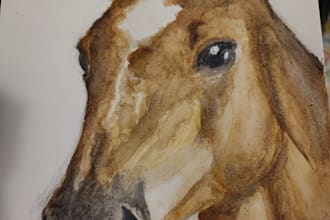 make a watercolor portrait of your horse