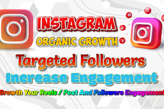 promote to organic instagram followers and reels engagement growth