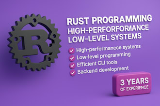 do rust programming, high performance low level systems