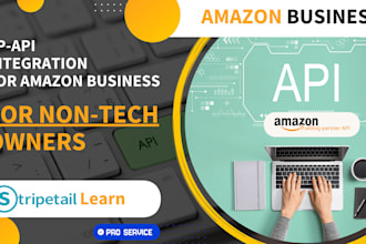 do api integration, development, or api fixing amazon sp api, sdk api and more