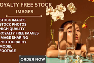 find royalty free stock photos, videos, 4k quality licences image