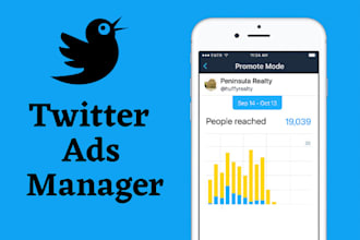 be your perfect twitter ads manager and x ads