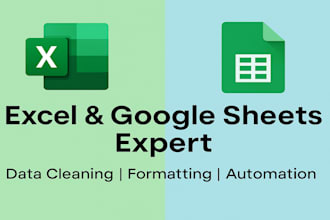 clean, format, and automate your excel or google sheets data professional