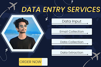 web research,data input, , email collection, data entry