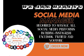 be your social media marketing manager and content creator to grow your brand