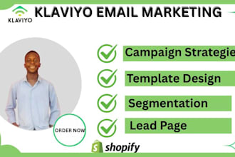 build klaviyo flows, lead pages, ecommerce leads, marketing strategy