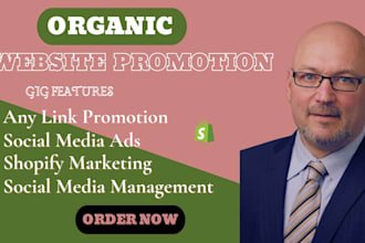 increase website traffic, organic website promotion on social media, shopify ads