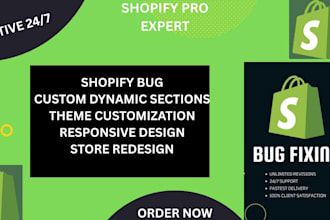 be your shopify error fixing consultant
