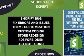 troubleshoot shopify bugs and optimize speed